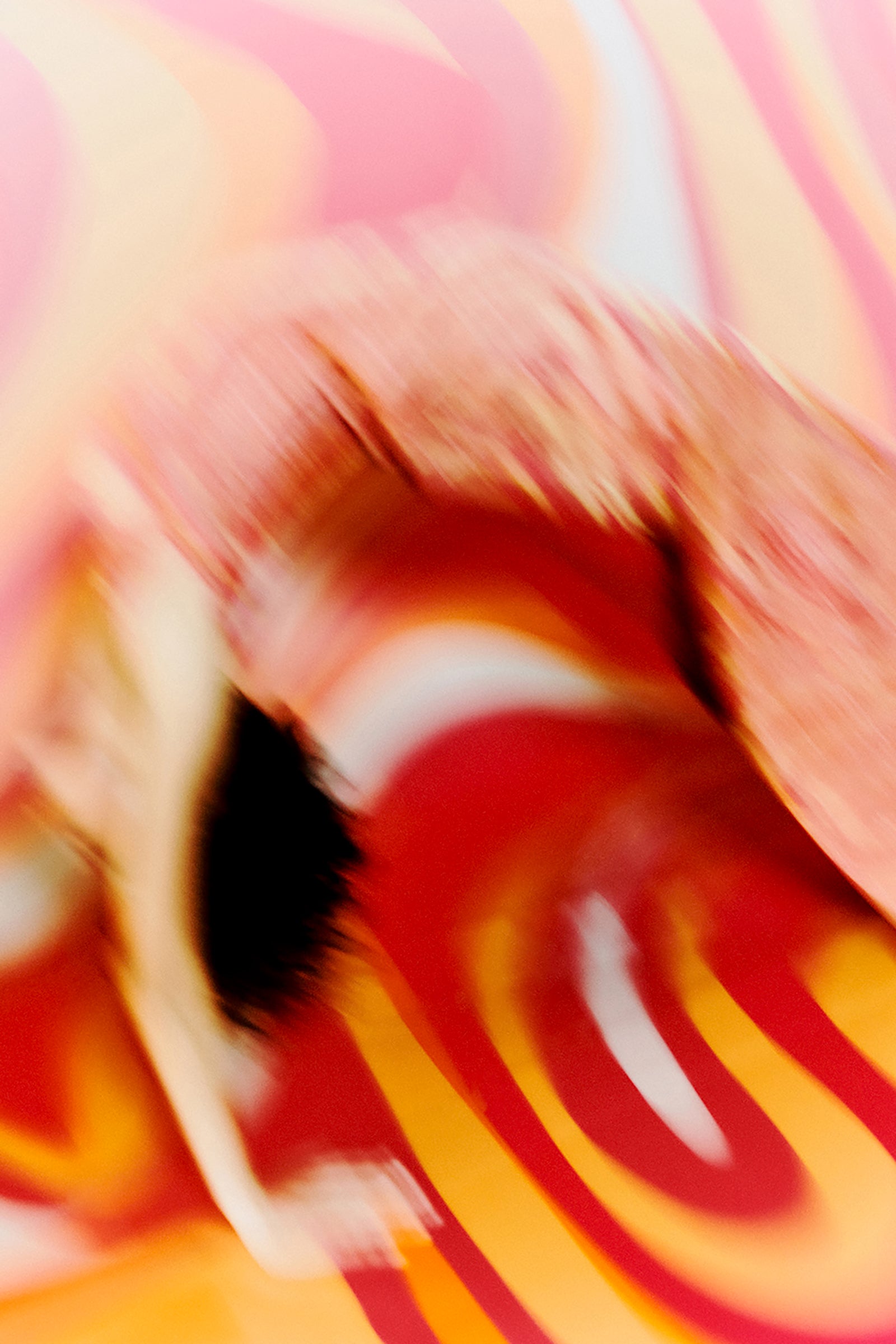 ABITO