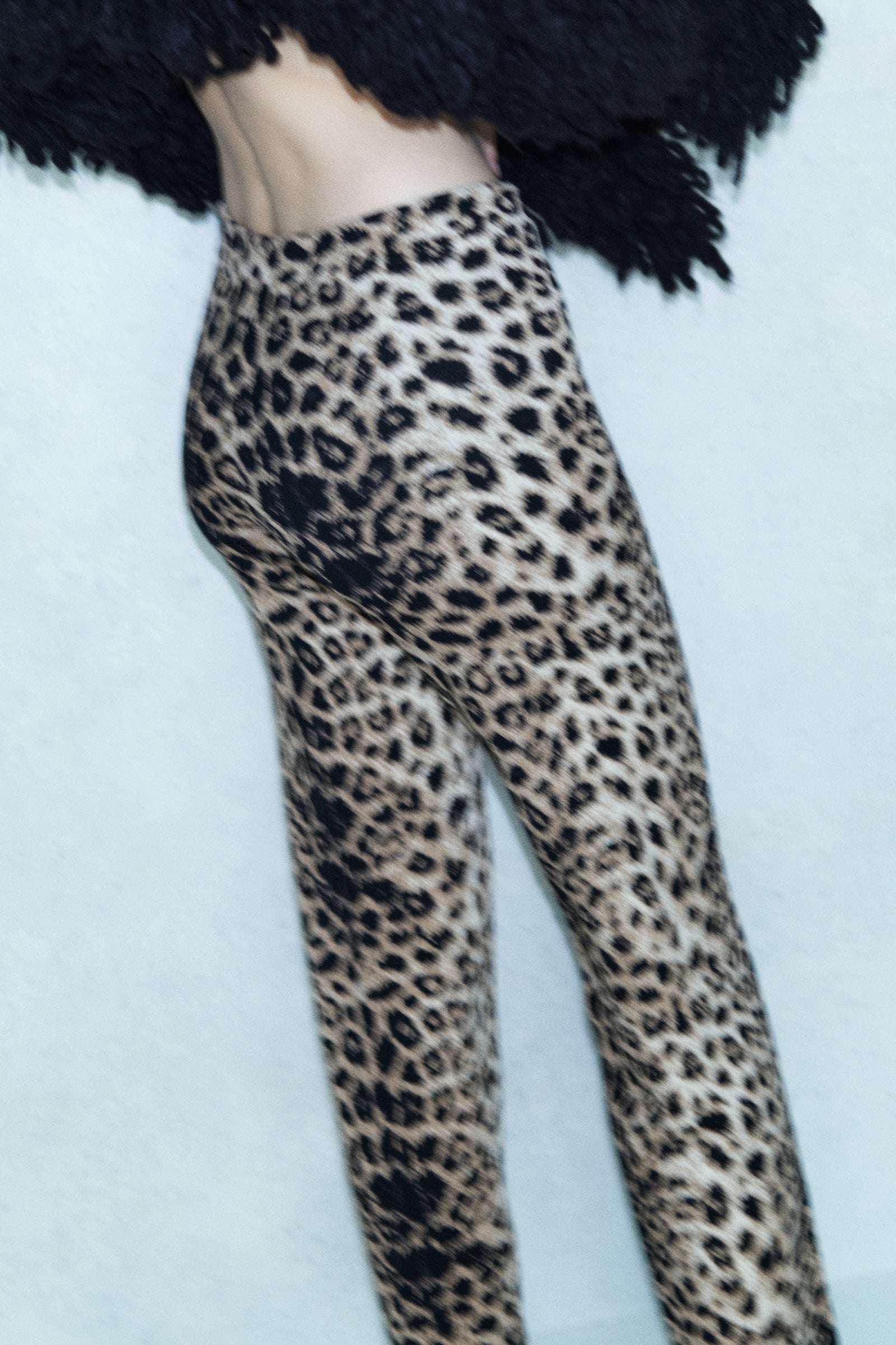 PANTALONE