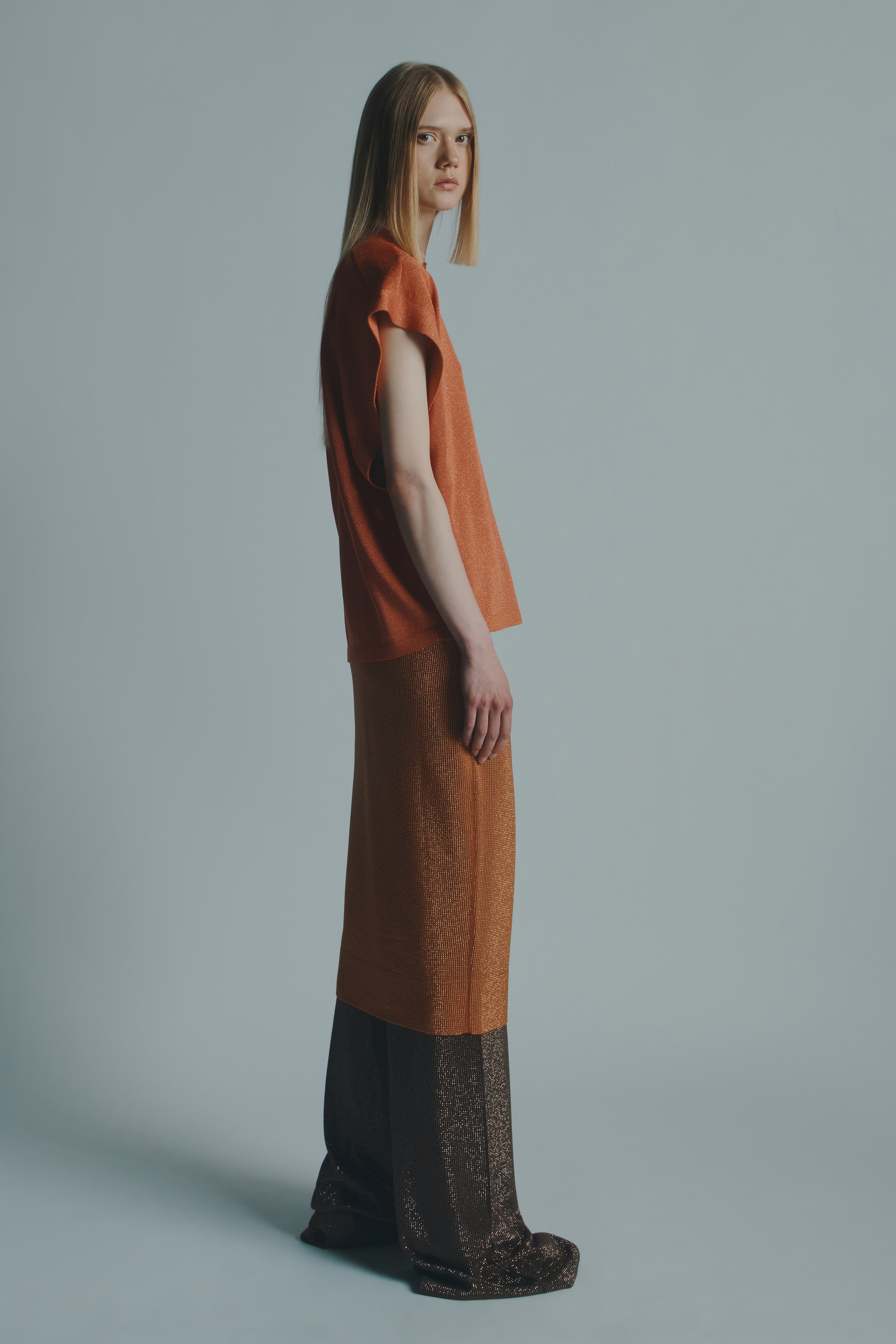 LAMÉ CREW NECK SWEATER