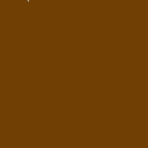 DARK GINSENG